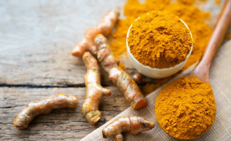 Paws for Thought: Exploring the Benefits of Turmeric for Canine Companions