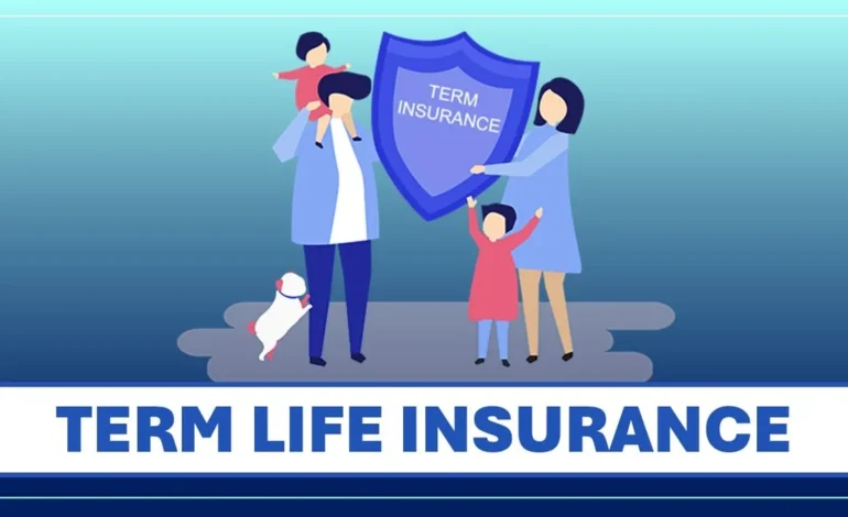 Term Life Insurance