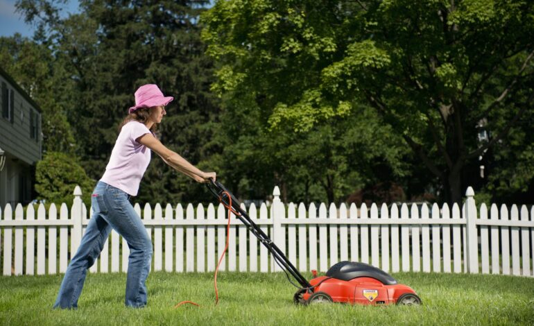 Electric Lawn Mower