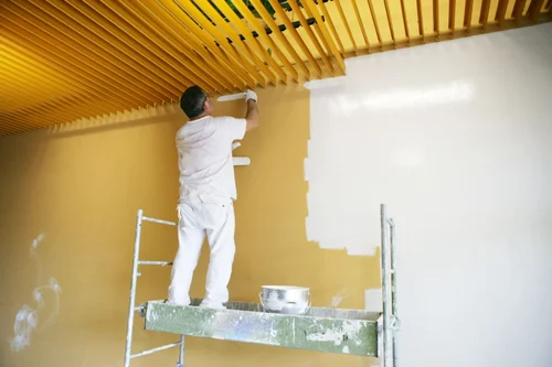 Top Reasons to Invest in Professional Painting for Commercial Spaces in Upper North Shore